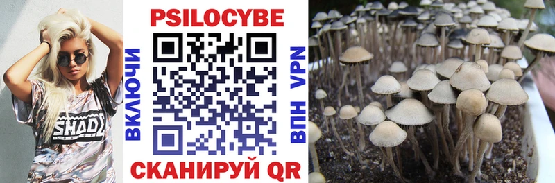 Галлюциногенные грибы Magic Shrooms  Дубовка 